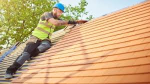 Best Roof Maintenance and Cleaning  in Limesa, CA