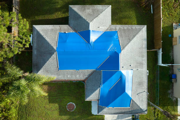 Best Roof Moss and Algae Removal  in Limesa, CA