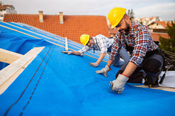 Best Roof Ventilation Installation  in Limesa, CA